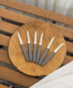 چاقو میوه رایکو