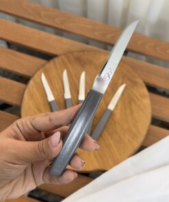 چاقو میوه رایکو