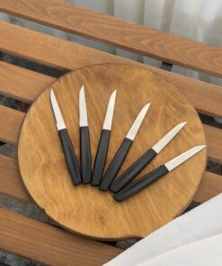 چاقو میوه رایکو