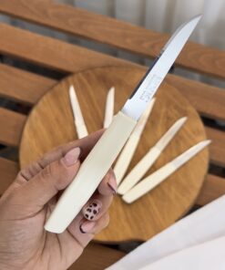 چاقو میوه رایکو