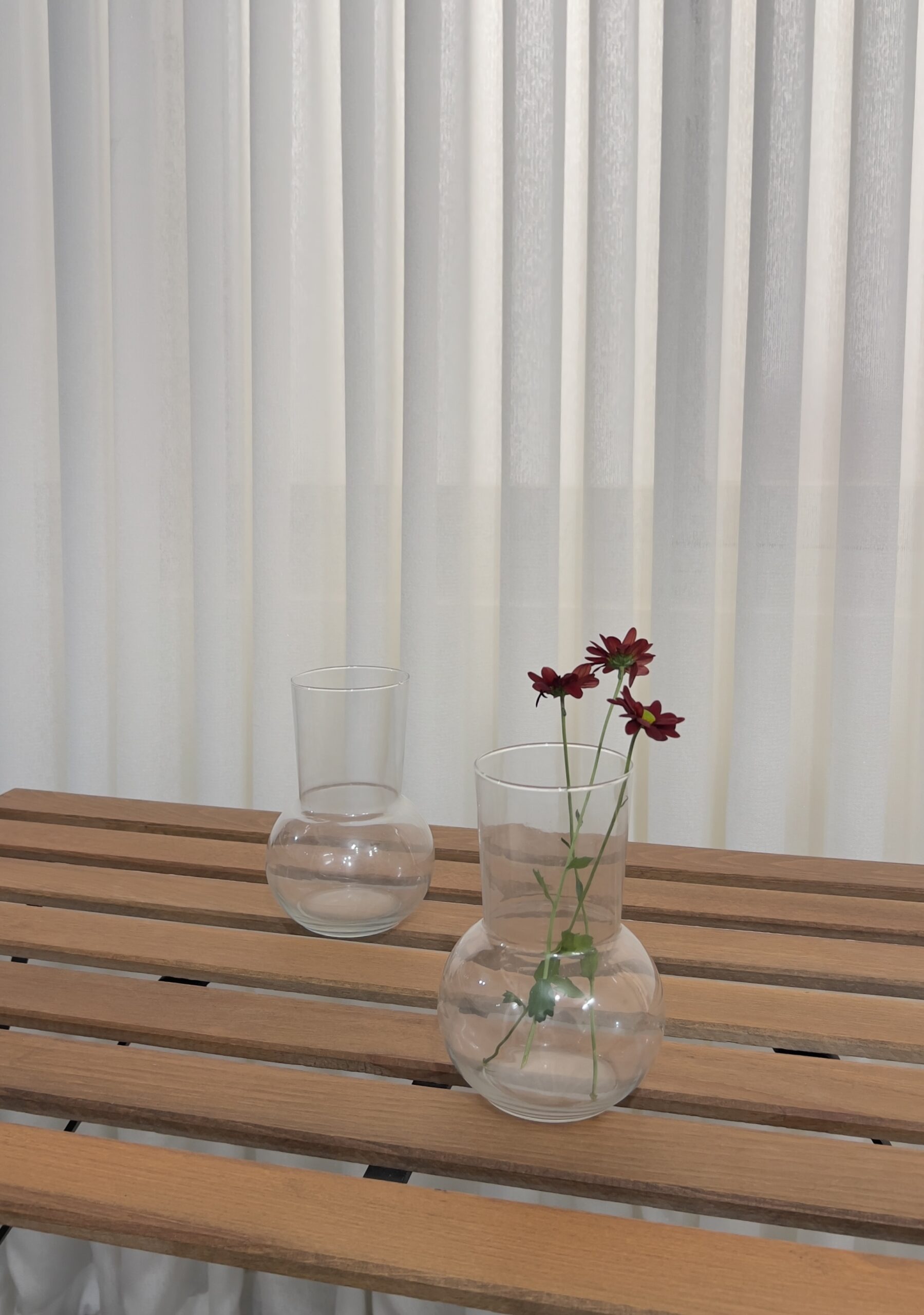 گلدان ویولت تیام